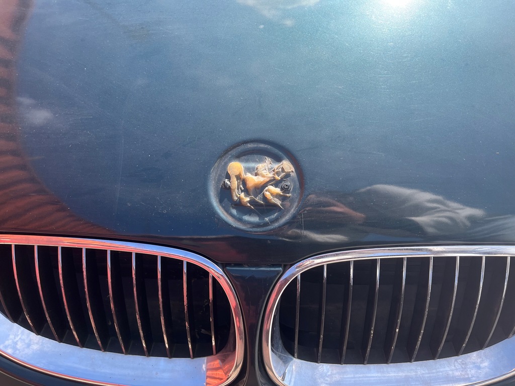 фото №6, Bmw 5 e61 touring капот крышка двигателя a43