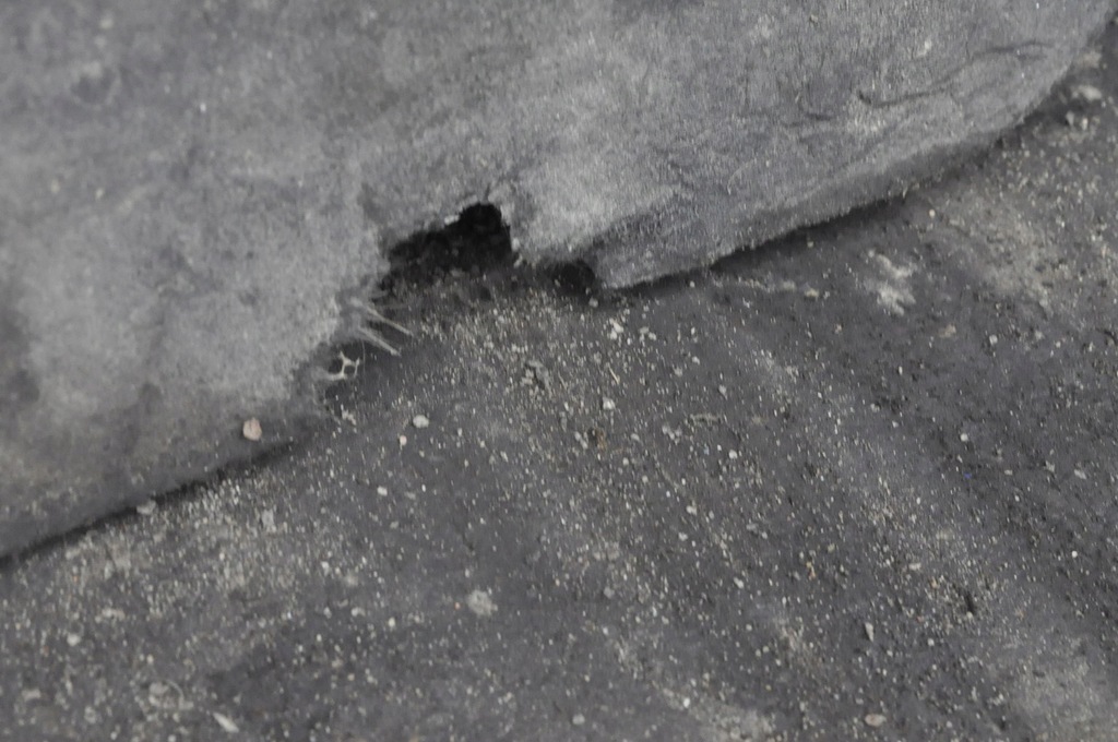 фото №9, Bmw x1 f48 2.0 d защита pod двигатель