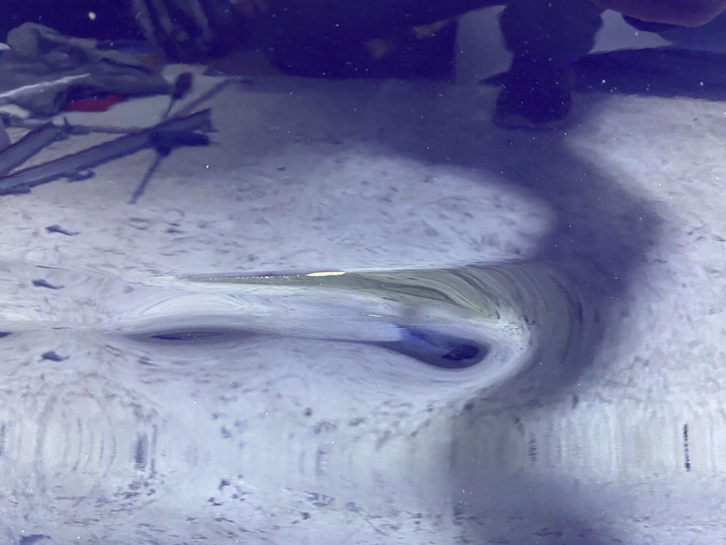 фото №7, Двері правий перед maserati quattroporte vi