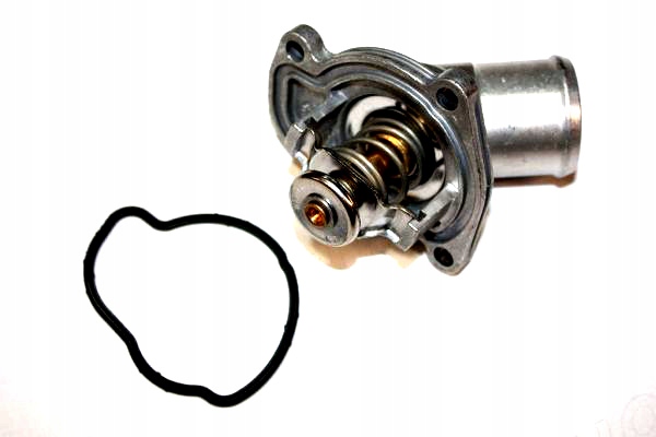 фото №2, Термостат automega