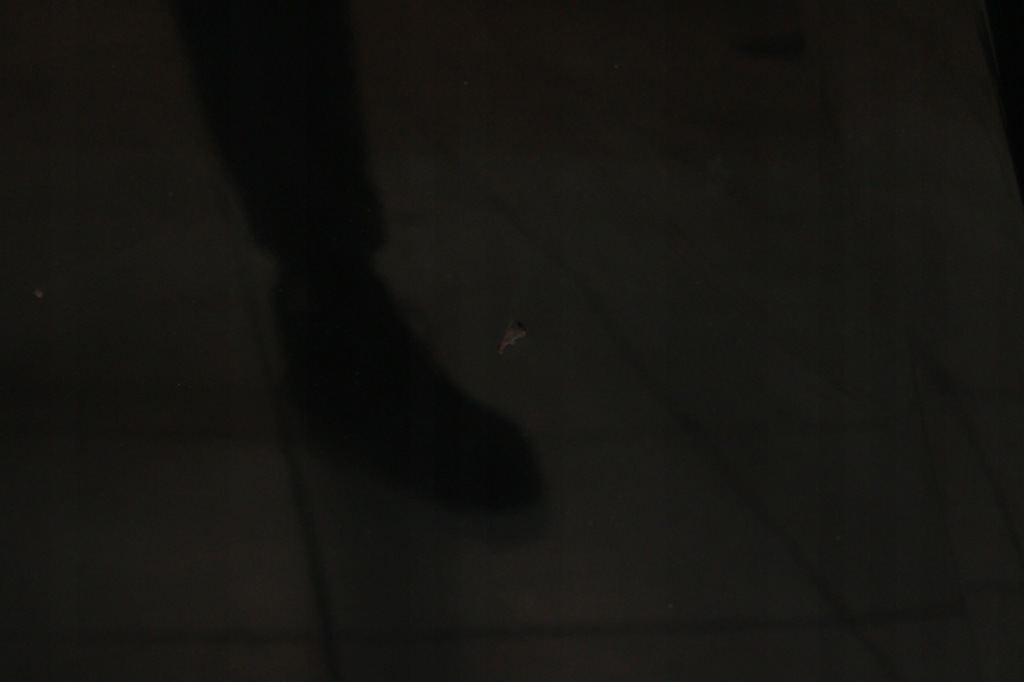 Ford galaxy mk2 mk3 рестайлінг  2009r- капот кришка двигуна g6 - код лакофарбового покриття Недорого