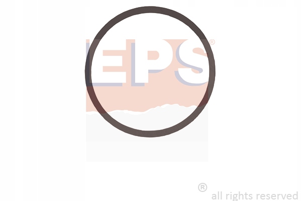 фото №1, Eps 1.890.729 прокладка, термостат