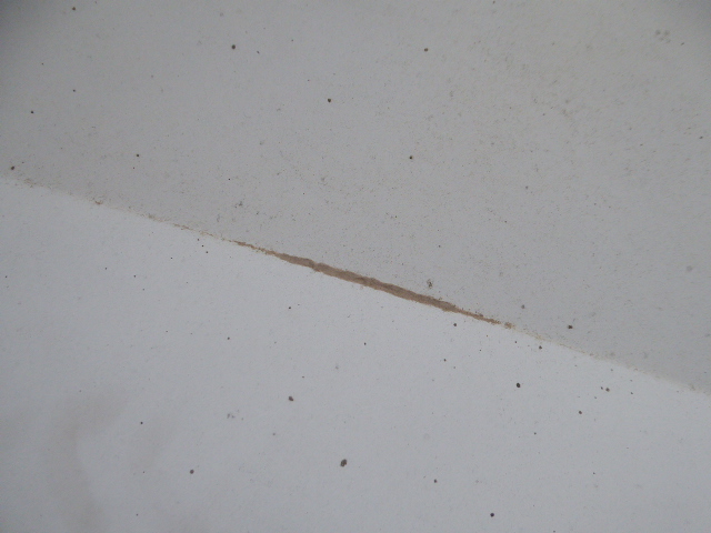 Купити Kangoo i 98- капот бампер решітка радіатора фара ремінь перед радіатор води вентиляція