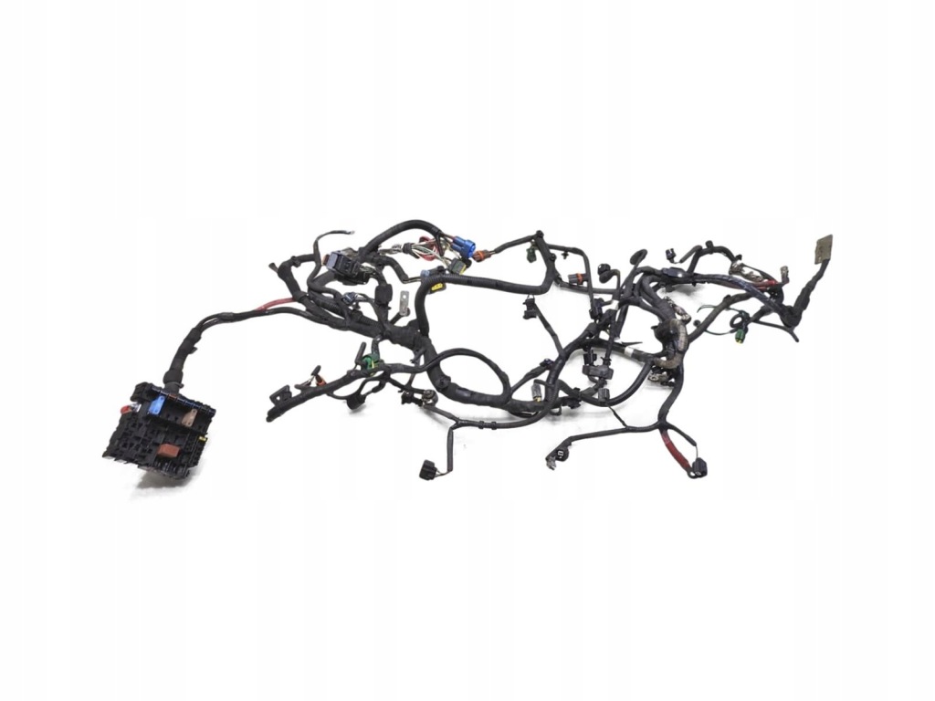 фото №1, Джгут електропроводка двигуна renault laguna iii 2.0 dci 240110092r