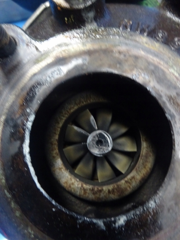 фото №4, Турбонагнетатель renault koleos i 2.0 dci