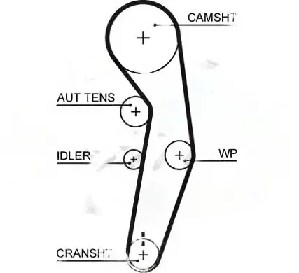 Купити Gates 5601xs ремінь розподільного валу
