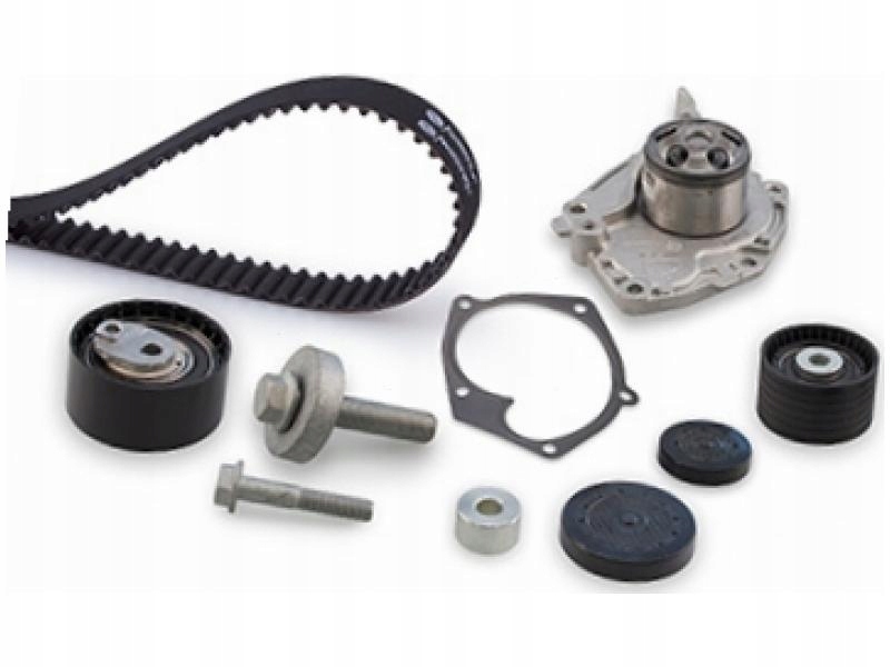 фото №1, Насос wody + ремень renault megane iii 2.0 avantime 2.0 vel satis 2.0