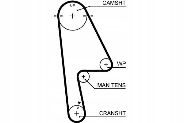 фото №1, Gates 5529xs ремінь розподільного валу