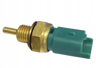 фото №1, Датчик температури wody ws2606 vernet