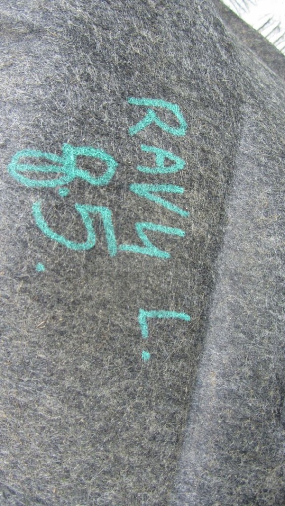 фото №6, Toyota rav-4 iv підкрилок ліва перед 12-