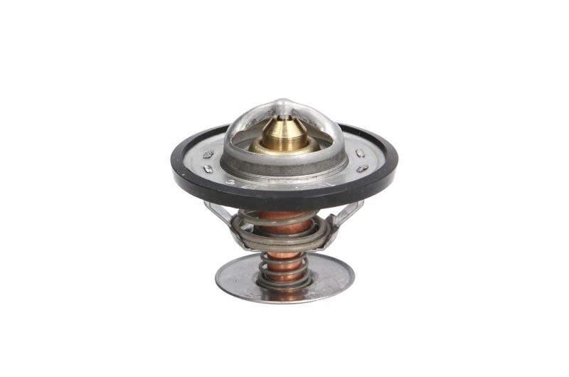 фото №1, Термостат жидкость thermotec d2g001tt