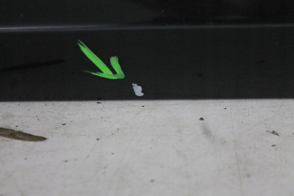 фото №11, Дверь левый задняя задние long audi a8 d3 lift lz9y