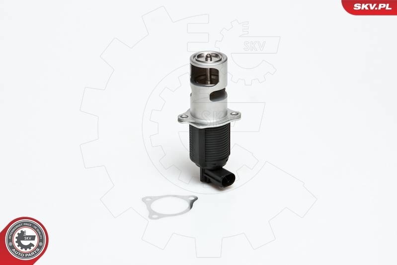 Купити Клапан egr renault laguna 2.2dci - skv esen 14skv032