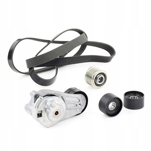 Набор ремень клиновой ridex 542r0207 pasuje do mercedes-benz klasa e sedan Киев