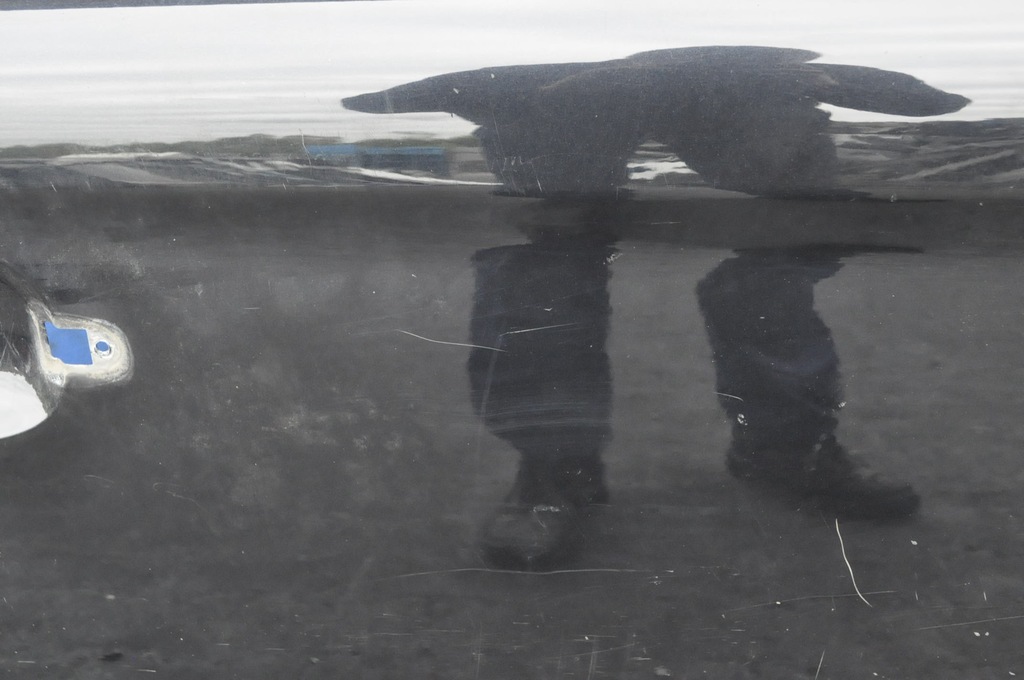 фото №9, Volvo xc60 i двері правий перед праве передні 452