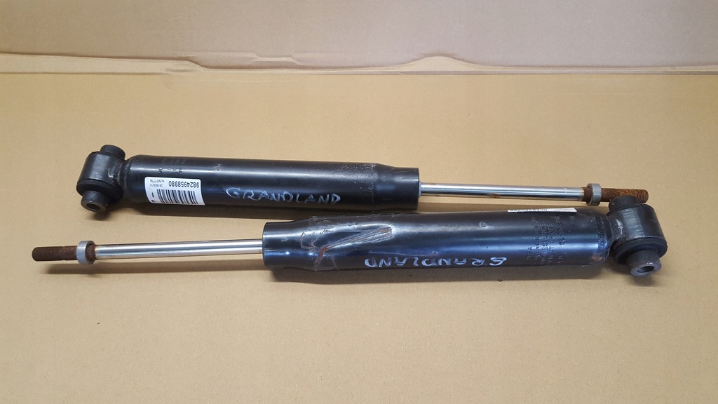 фото №1, Амортизатор amory задня grandland x 9824958980