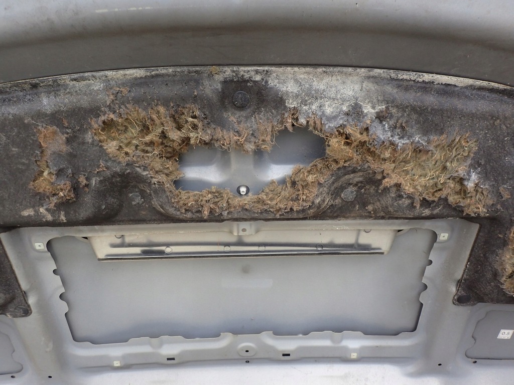 фото №6, Капот крышка двигателя subaru forester 3 iii 08-12r