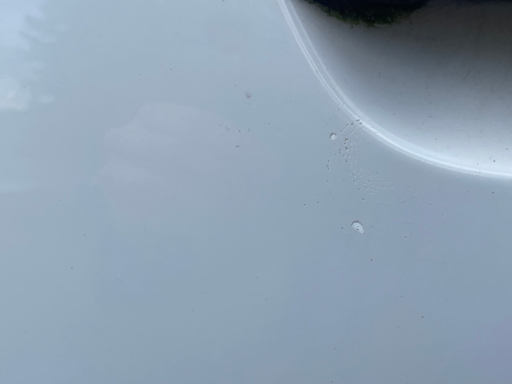 фото №8, Двері лівий задня seat exeo sedan 08-14 lb9a