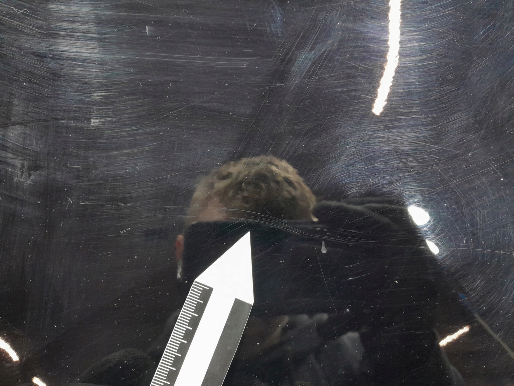 фото №8, Toyota prius iii 09- двері перед передні ліва 202