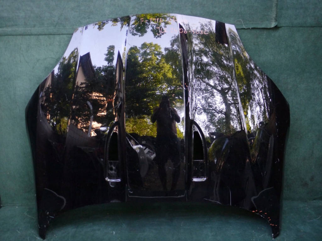 Купить Петли капота jaguar f-type x152 rwd jlr 2013-2020r