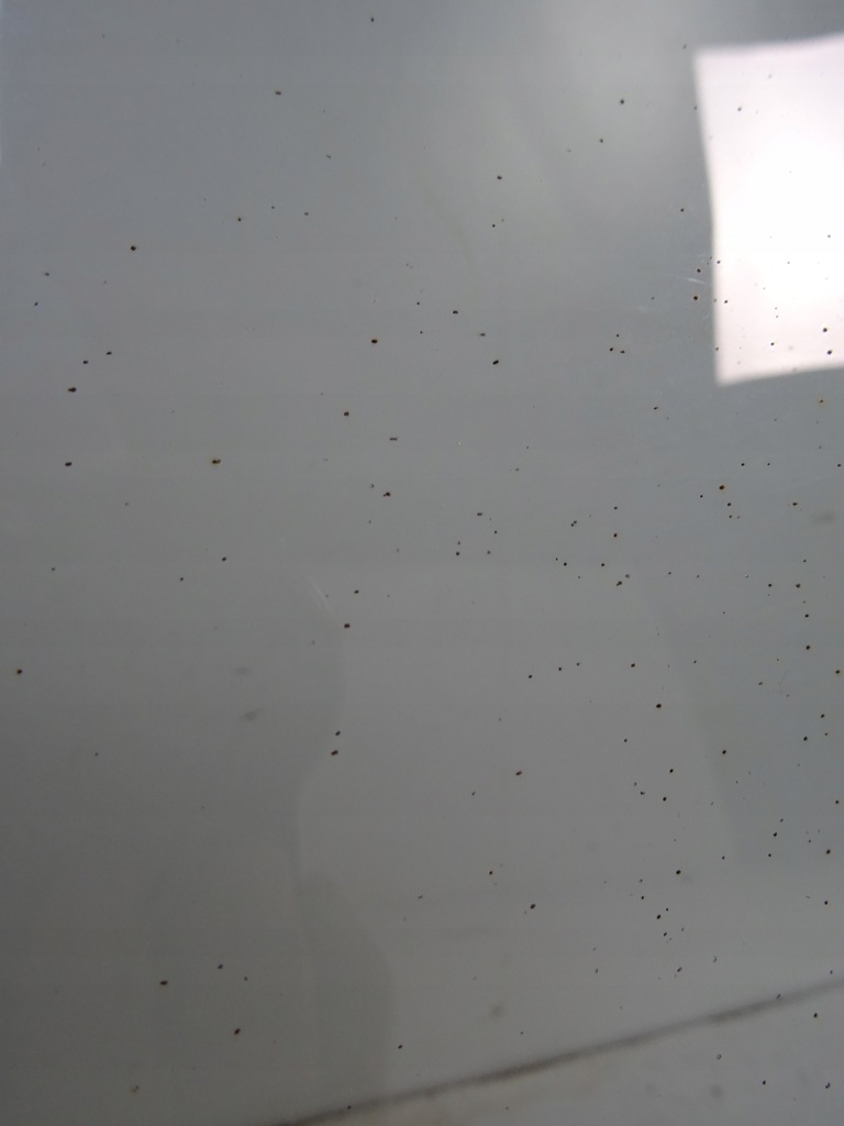 фото №12, Nissan juke lift f15 стекло лобовое передняя