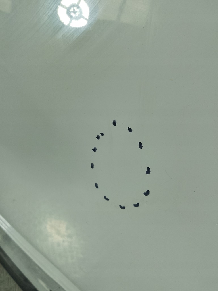 фото №9, Renault kangoo ii lift 13- дверь задняя задние комплект dqng