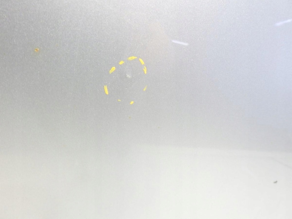 фото №6, Дверь левый задняя ly7w audi a6 c6