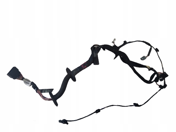 фото №1, Master iii электропроводка дверь левый перед