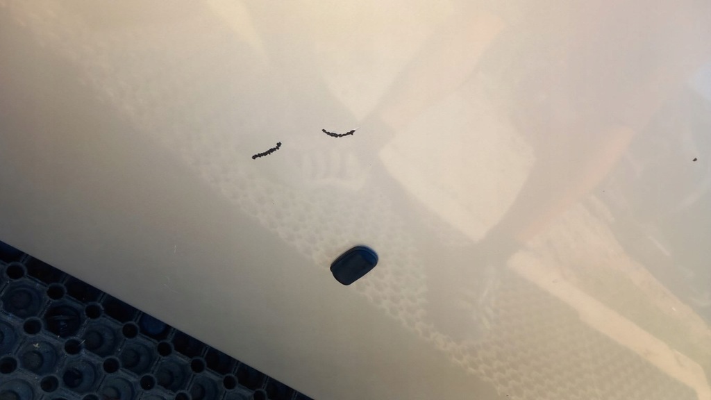 фото №7, Ford focus mk2 lift капот o3