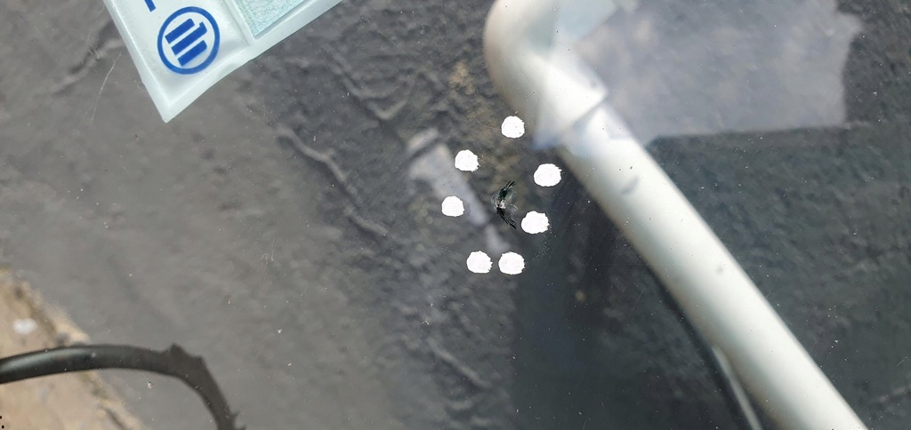 фото №5, Стекло лобовое подогрев subaru forester iii 2013r