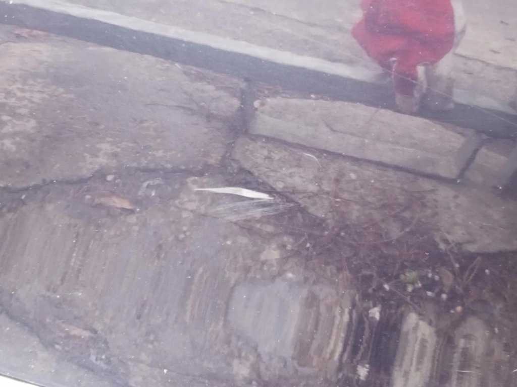 фото №7, Audi a3 8l 5d - двері ліва задні задня / l75l