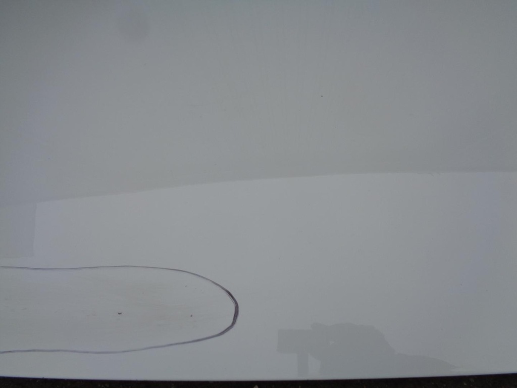 фото №9, Капот fiat grande punto / evo / 2012 белый kod 296/a