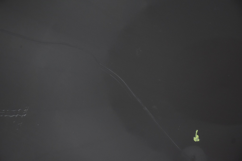 Капот крышка двигателя alfa romeo mito 805 с Разборки