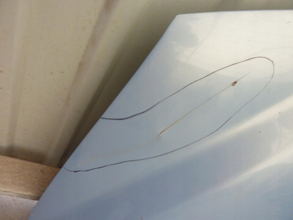 фото №11, Капот fiat multipla 2 ii 04-10r. голубой kod 792