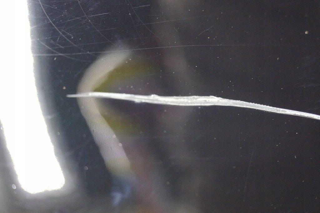 фото №7, Дверь левый перед bmw x3 e83