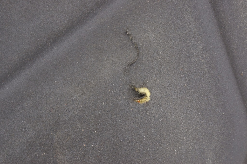 фото №7, Шумоізоляція капот + кліпси kia sorento i