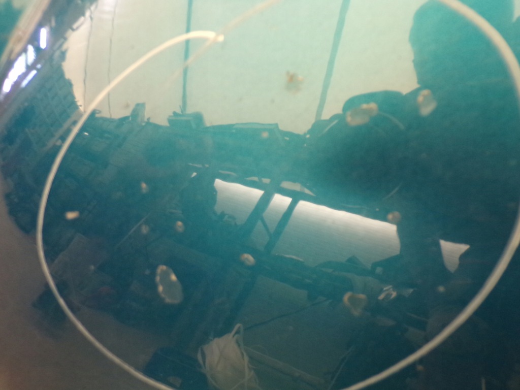 фото №6, Капот кришка двигуна peugeot 207 cc колір kmud