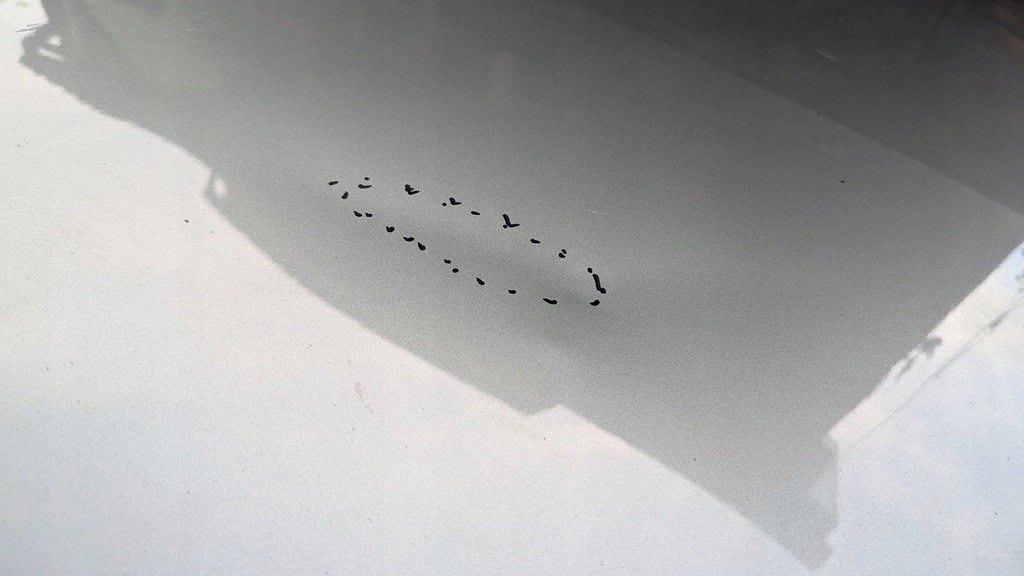 фото №5, Nissan primera 2002 с передний крышка передняя / капот двигателя