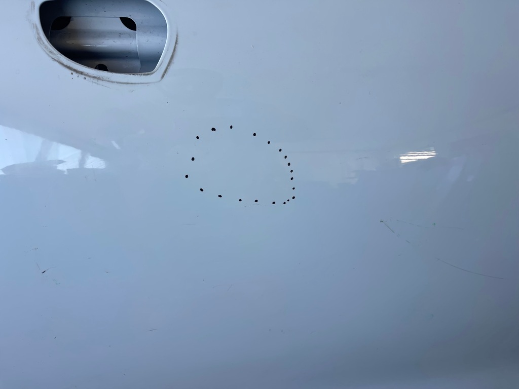 фото №13, Дверь --- porsche cayenne coupe iii 9y3 2019- передние левая ---