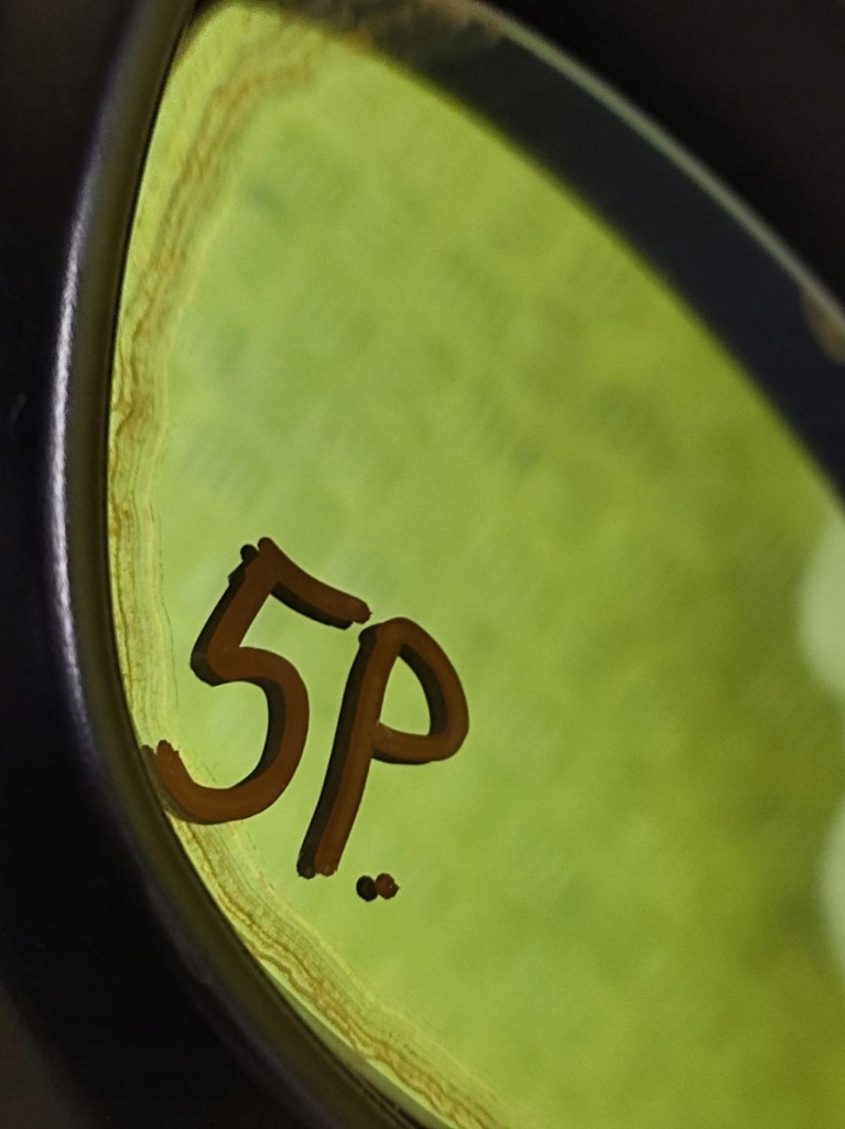 фото №11, Bmw 1 e87 зеркало правое 5 pin