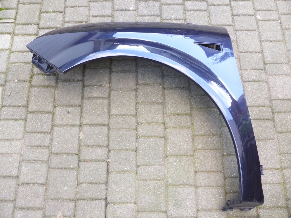 фото №1, Scenic ii крила перед передній лівий poznań