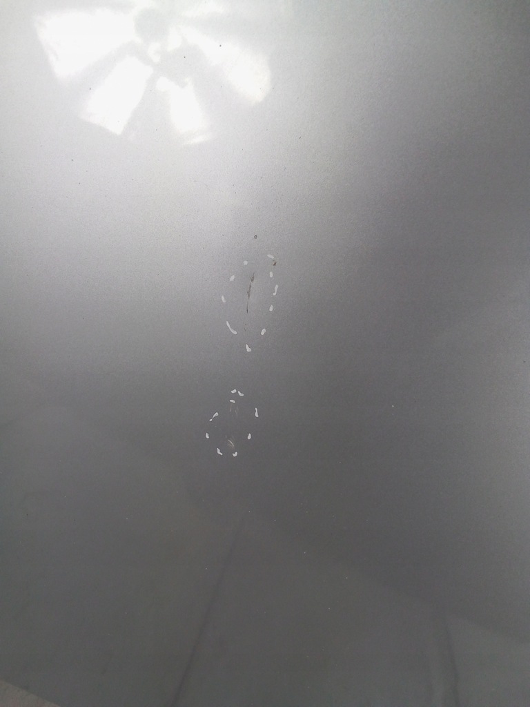 фото №8, K892 капот opel insignia a z176