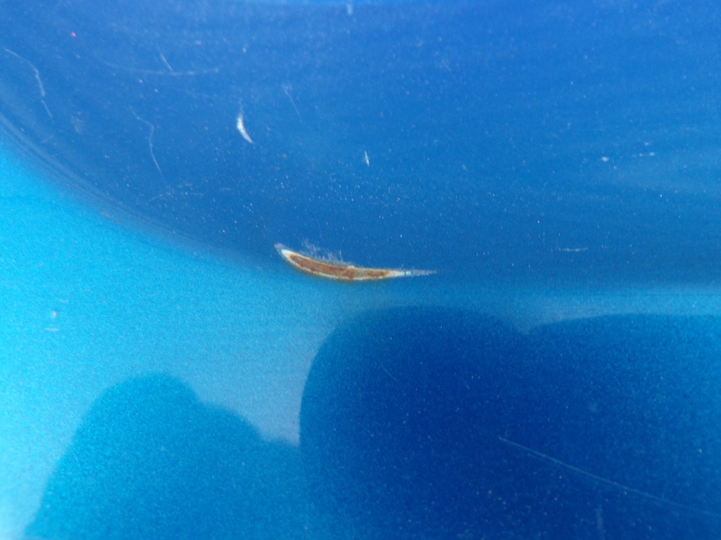 фото №13, Крышка багажника багажника задняя peugeot 206 cc комплектная