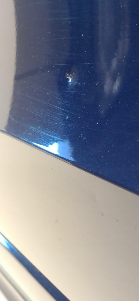 фото №7, Audi q5 2015 двері лівий перед lx5q