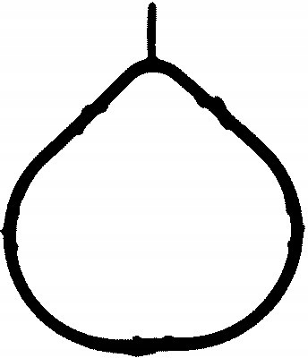 фото №1, Прокладка коллектор впускной hyundai accent ii 1.5 00-