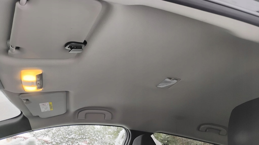 фото №1, Nissan leaf ii стеля