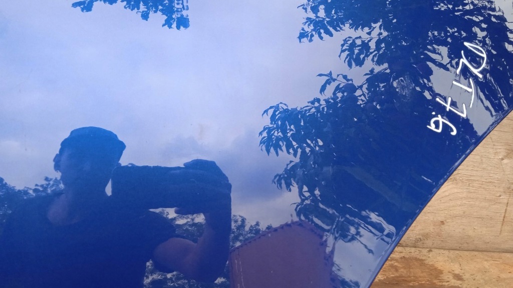 фото №6, Vw golf v plus hb двері задня лівий