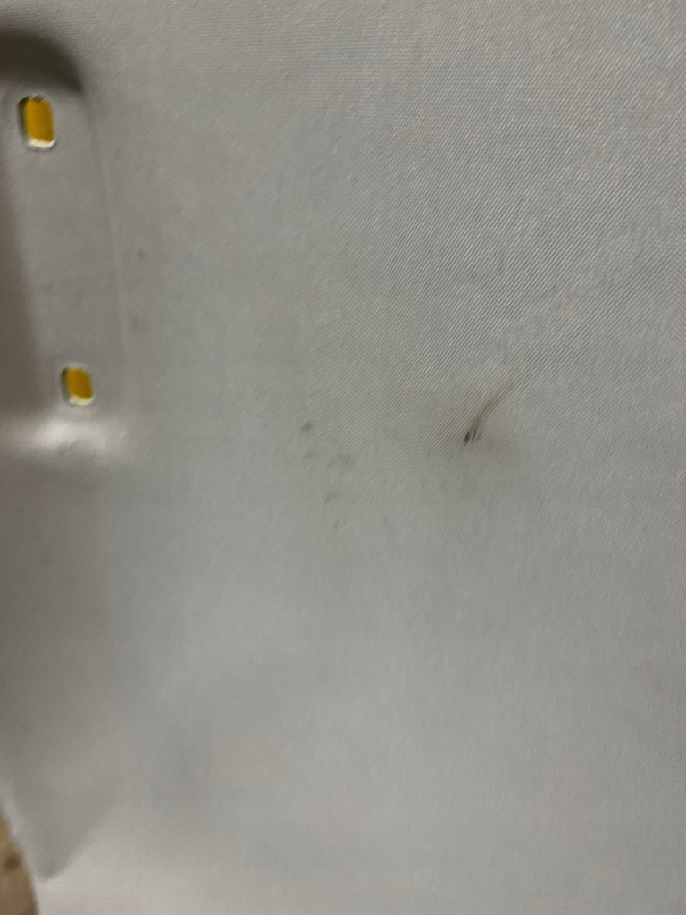 фото №6, Стеля стеля бежева ford escape mk4 usa