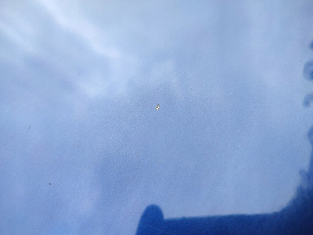 фото №8, Bmw 3 e90 дверь правый перед передние tiefseeblau