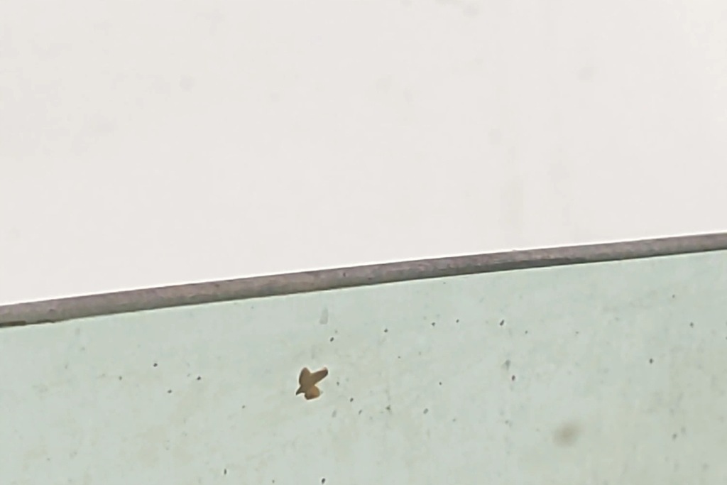 фото №8, Стекло правых передних дверь citroën c2 jm_ 43r000464 1.1l бензиновый 44kw